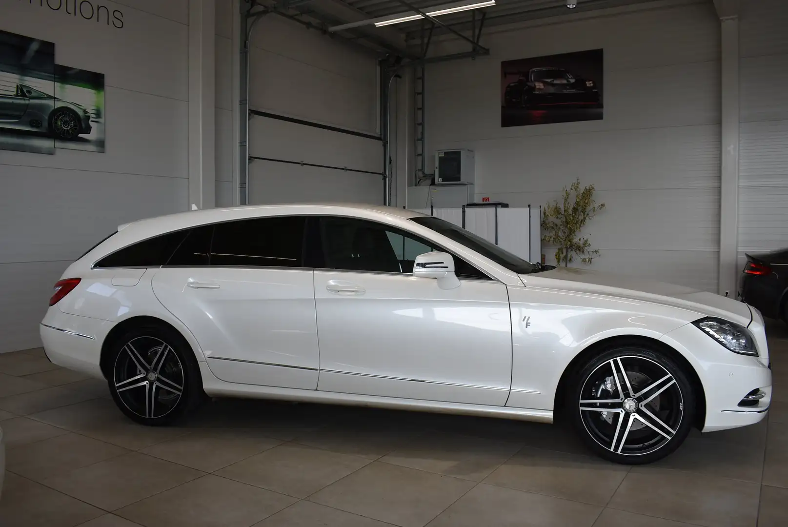 Vehicle image, number 11