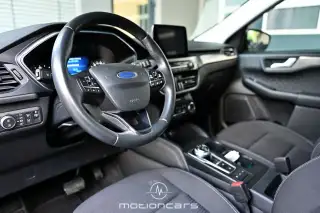 Vehicle image thumbnail, number 12