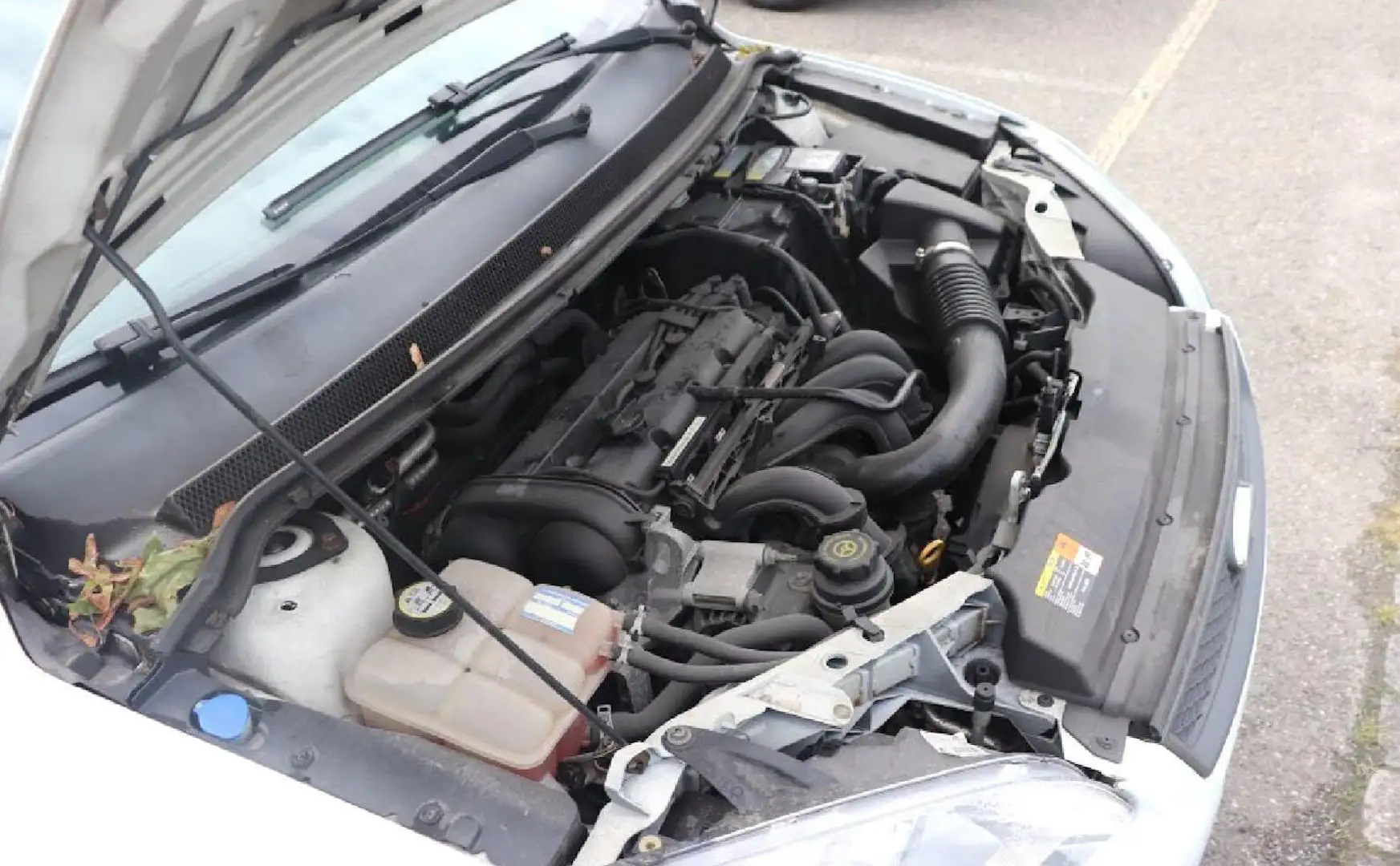 Vehicle image, number 11