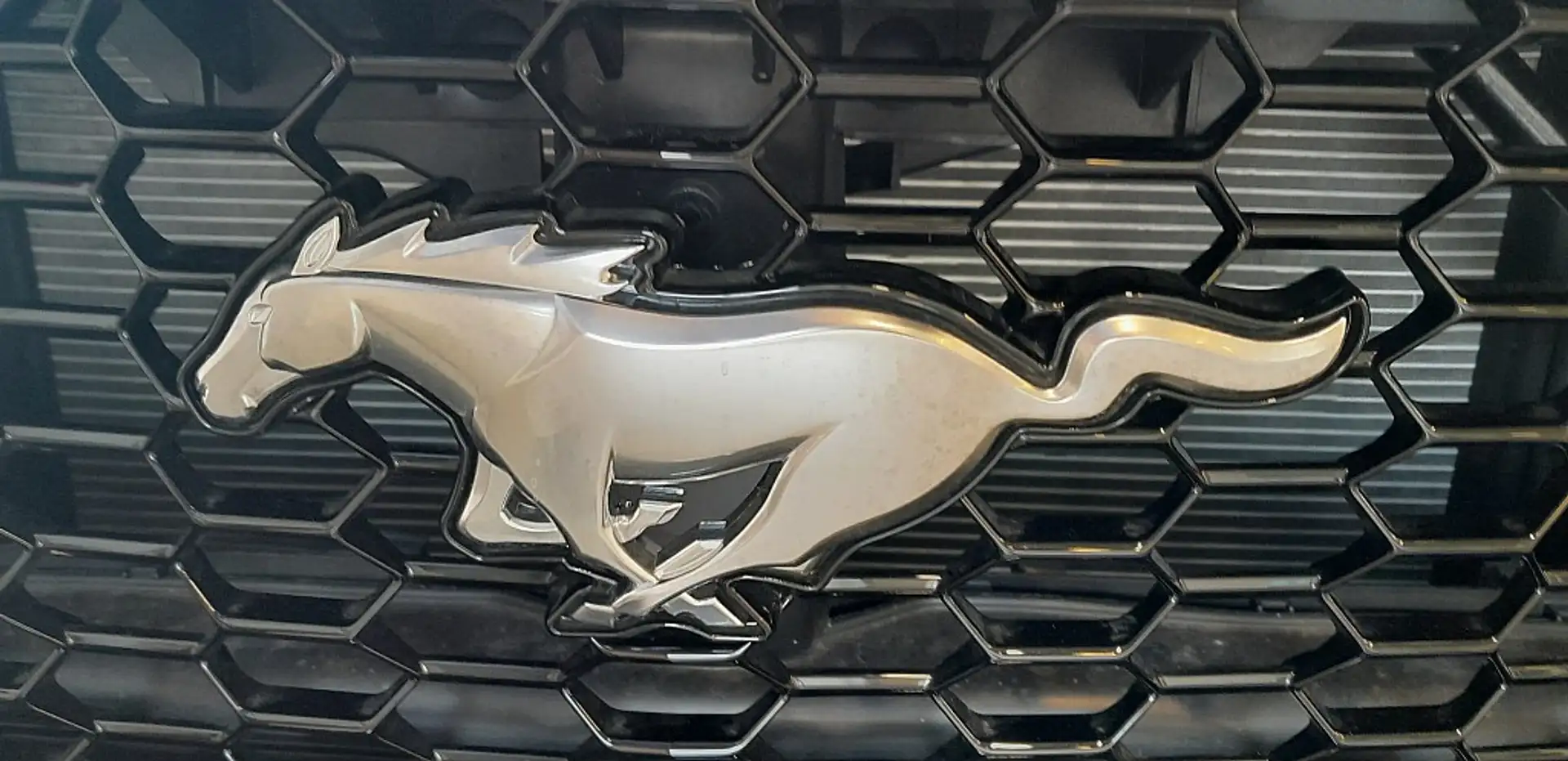 Vehicle image, number 13