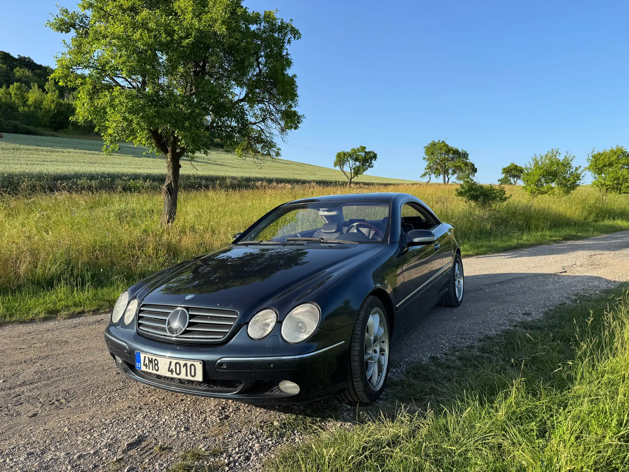 Vehicle image, number 12