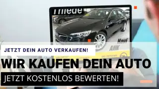 Vehicle image thumbnail, number 11