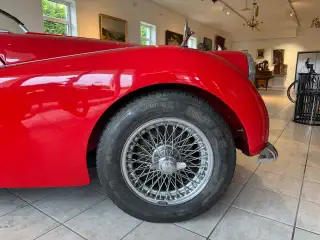 Vehicle image thumbnail, number 12